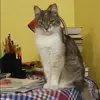 Отзыв от Яна Львова